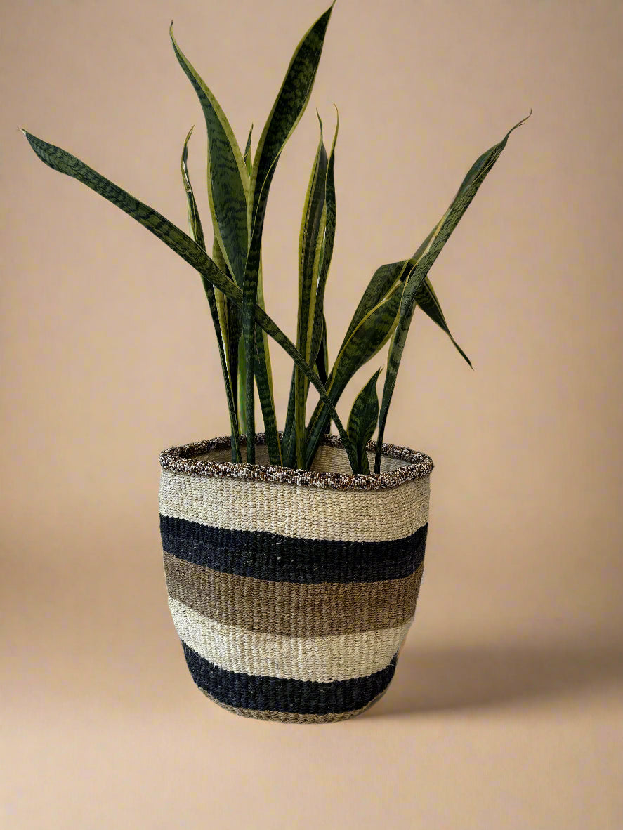 Minnesota Planter