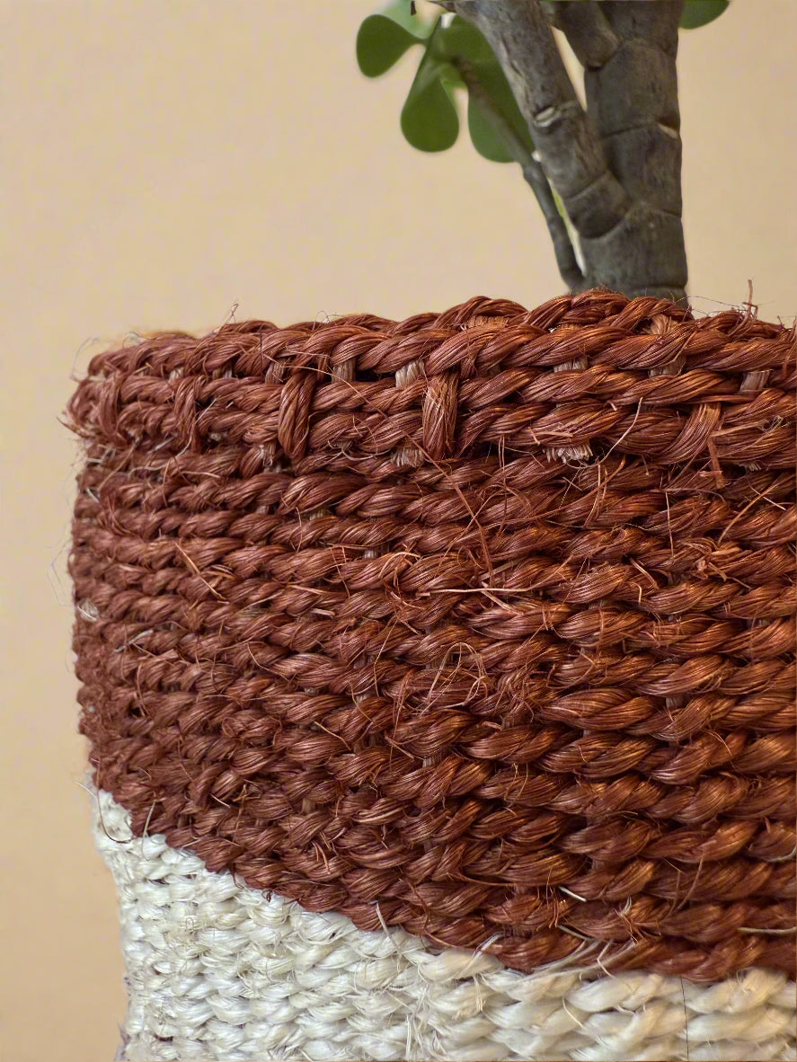 Utah Planter