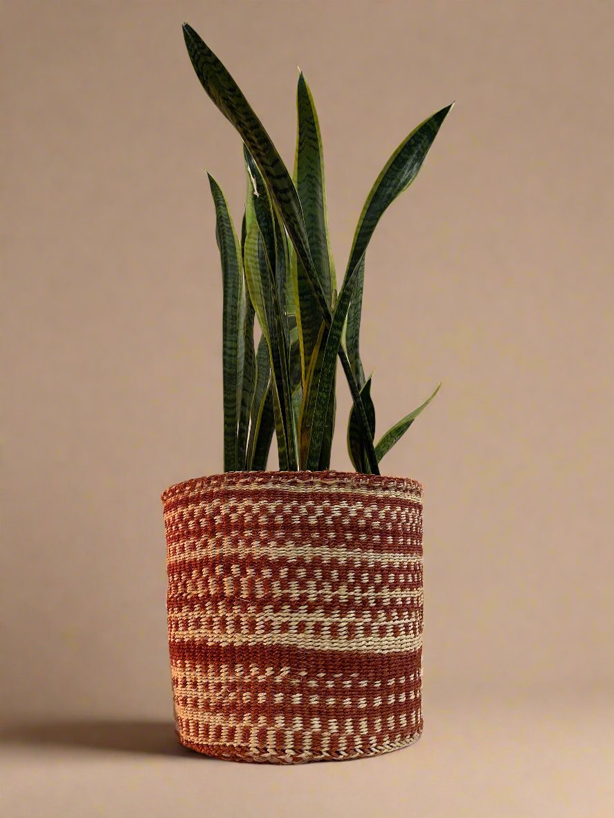 Arizona Planter